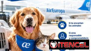✈️🐾 ¿Viajas a España con Air Europa? ¡Esto te interesa!