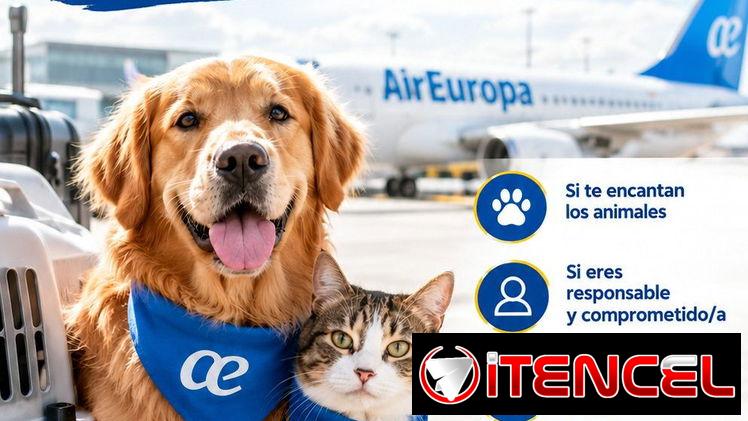 ✈️🐾 ¿Viajas a España con Air Europa? ¡Esto te interesa!
