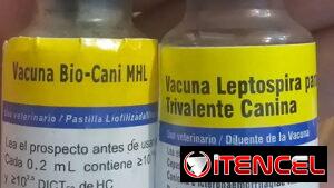 VACUNA TRIVALENTE CANINA (Bio-Cani MHL)