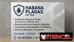 Servicio de fumigación y exterminio de chinches