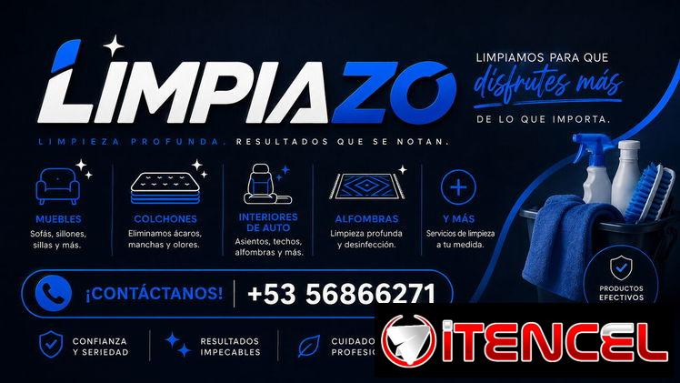 Limpieza Profunda de MUEBLES , COLCHONES , ALFOMBRAS Y MAS