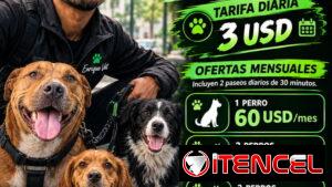 Paseo de perros en el Vedado y zonas cercanas
