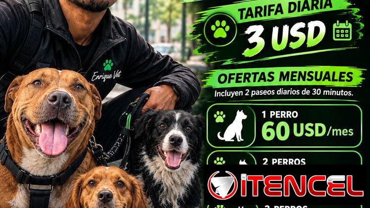 Paseo de perros en el Vedado y zonas cercanas