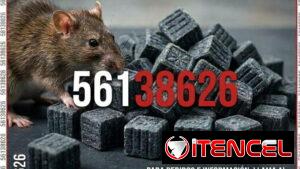 Veneno para ratones, ratas , guayabitos