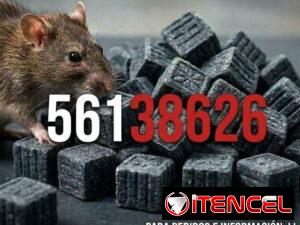 e99d874c4ce1dedadba022c97b173b3d974d336bc89fd3284fe2e88e9fa4e1d5