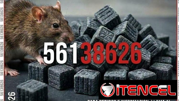 Veneno para ratones, ratas , guayabitos