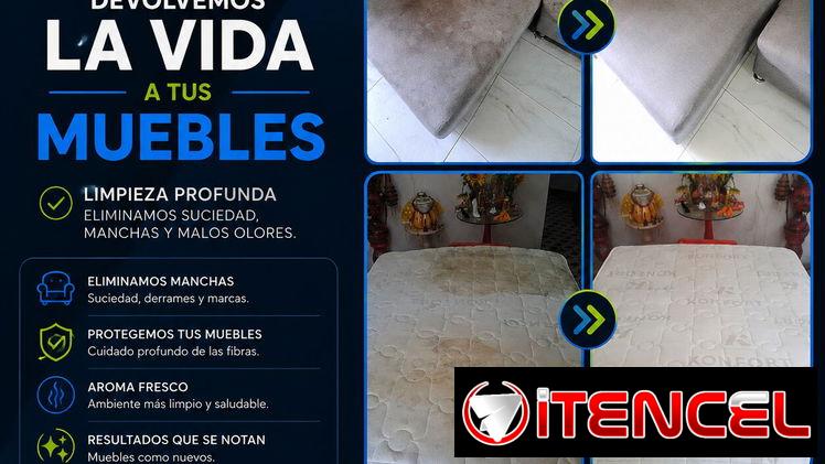 Limpieza de colchones muebles alfombras interiores de auto y más