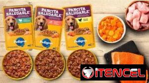 Comida húmeda para perros