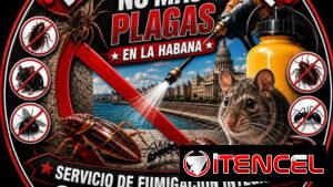 Chinches Eliminación en La Habana