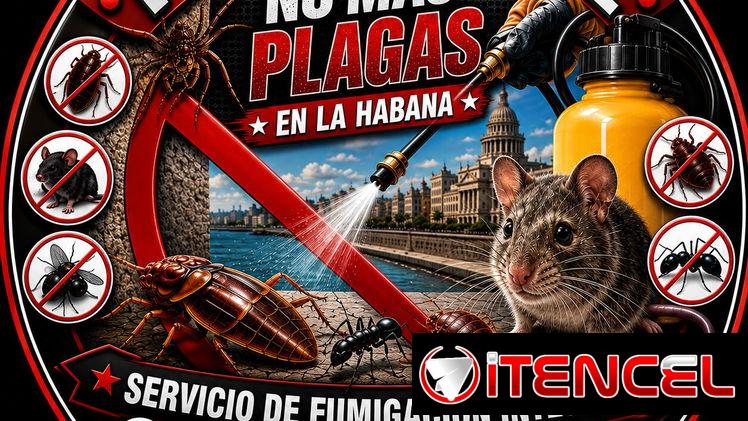 Chinches Eliminación en La Habana