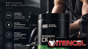 Creatina ON de 120 servicios