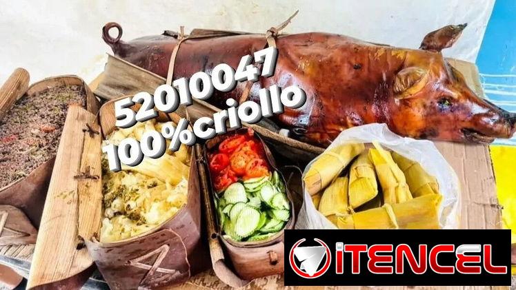 Comida cubana ,comida criolla,puerco asado ,pierna asada — foto 3