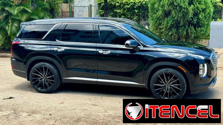 Hyundai Palisade Calligraphy 2022 — foto 4