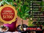 Combos para el Jardín. 🌿 Él también lo merece.