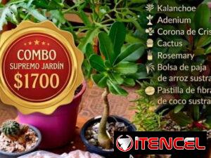 eb2e0298eb460fc29a4006a399cd66f4844a8ab97e05d43dc1c8bac56ff04660