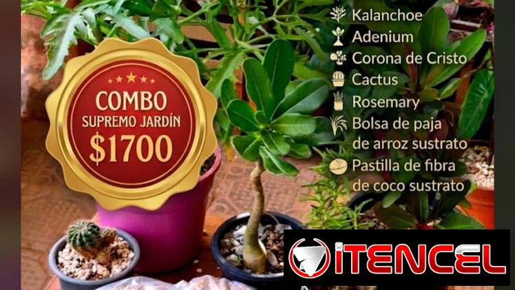 Combos para el Jardín. 🌿 Él también lo merece.