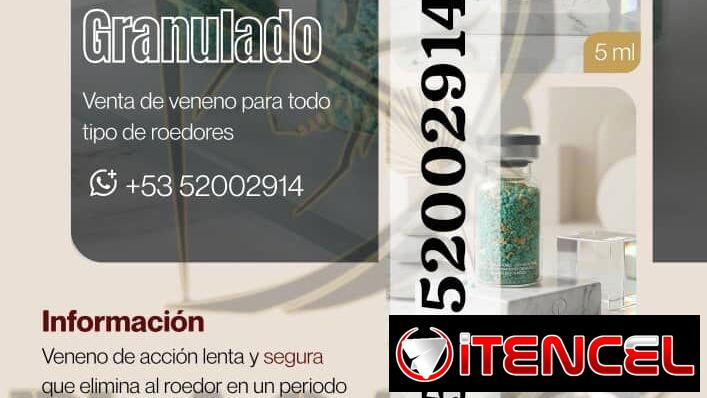Ratón (Venenos Bloque y Granulado) (PlagaKØ) — foto 2