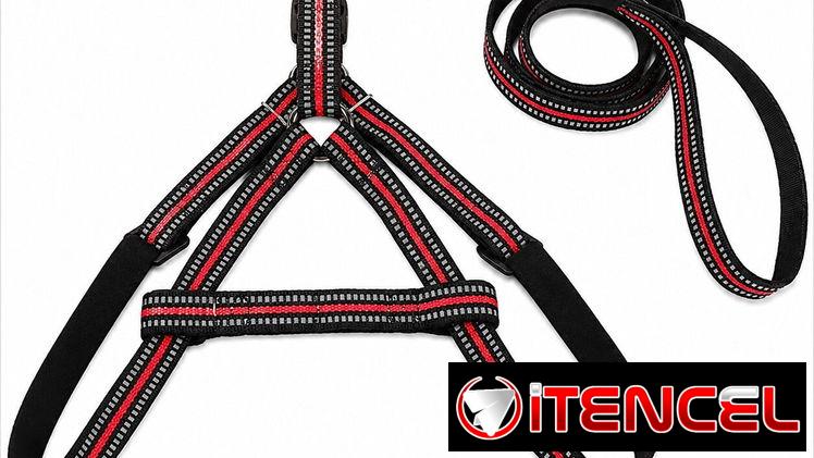 Set de Arnés Ajustable y Correa para Mascotas — foto 3