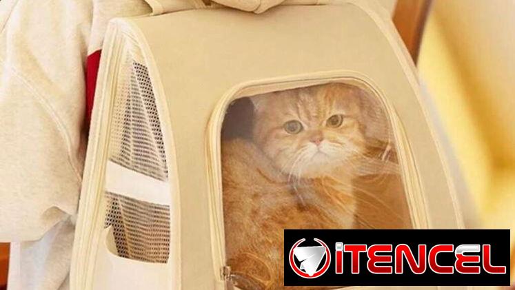 Transportadores de mascotas tipo mochila — foto 2