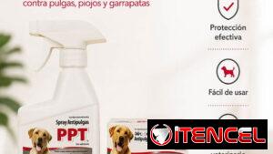 SET PPT SPRAY Y JABÓN ANTI PULGAS PARA PERROS