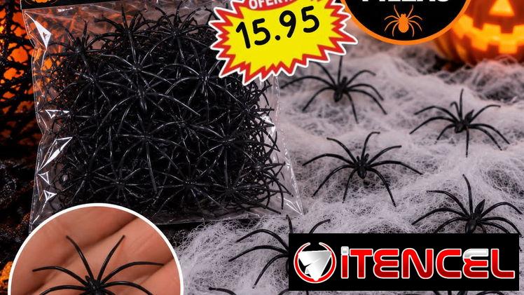 Toto en rebaja halloween — foto 1