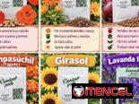 Semillas para sembrar patio y jardín 🪴