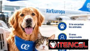 🐱❤️ ¿Viajas con Air Europa hacia España? ¡Ayuda a mascotas a viajar y gana un extra!