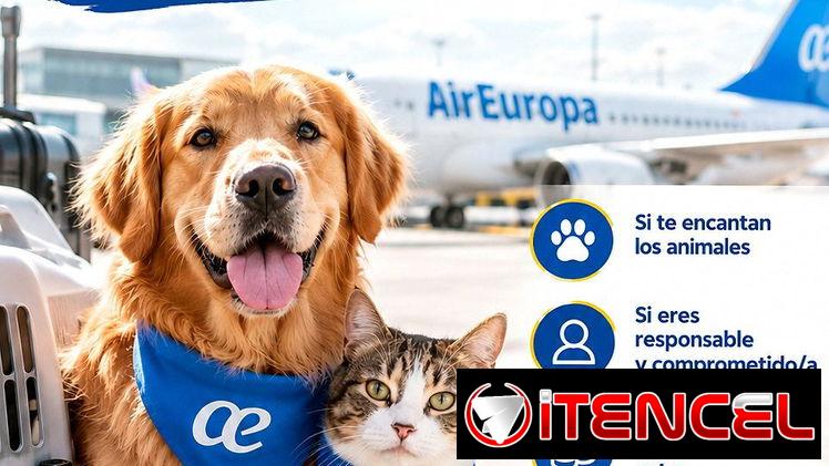 🐱❤️ ¿Viajas con Air Europa hacia España? ¡Ayuda a mascotas a viajar y gana un extra!