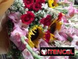 🌹 FLORISTERÍA EN LA HABANA – FLORES Y REGALOS A DOMICILIO