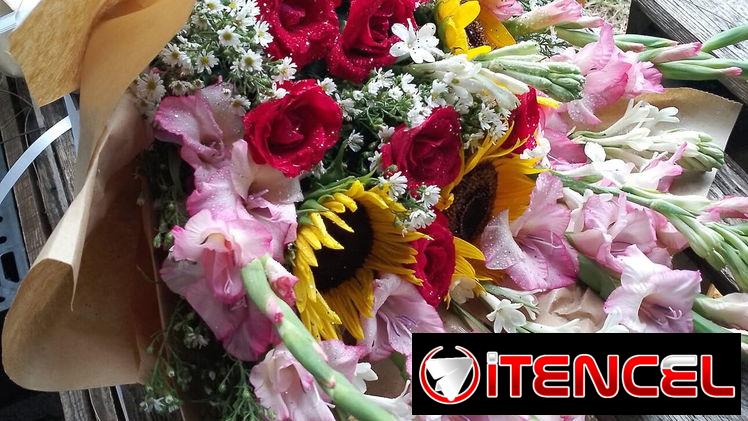 🌹 FLORISTERÍA EN LA HABANA – FLORES Y REGALOS A DOMICILIO