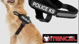 Percheras para 🦮+Agarre Seguro ideal para el disfrute del paseo🐕🦺