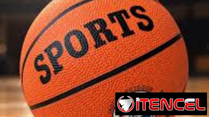 Pelota de baloncesto
