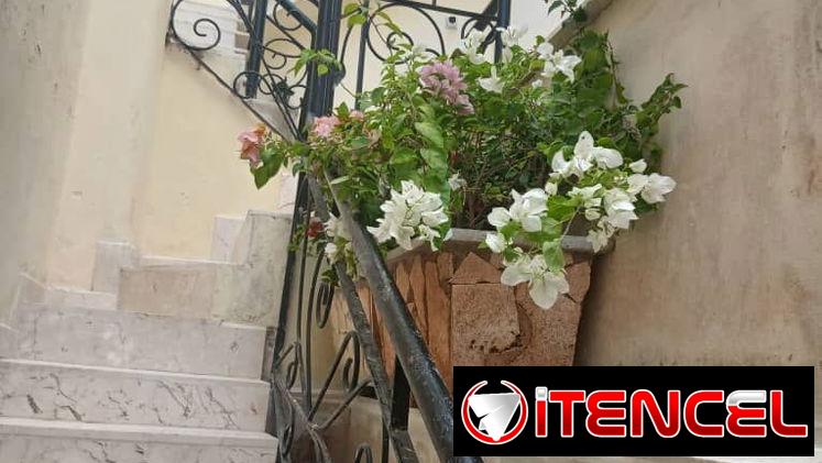 🌿 ¿TU PATIO ESTÁ TRISTE Y NO TIENES TIEMPO DE ARREGLARLO? 🌿 — foto 1