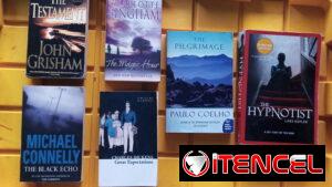 Libros originales en inglés. Best seller. C2
