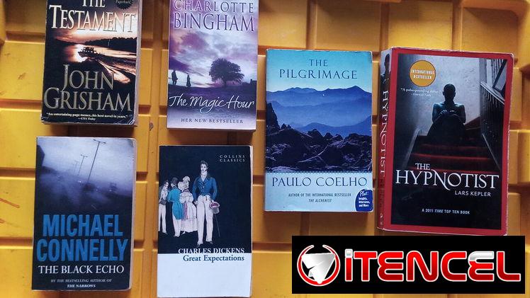 Libros originales en inglés. Best seller. C2