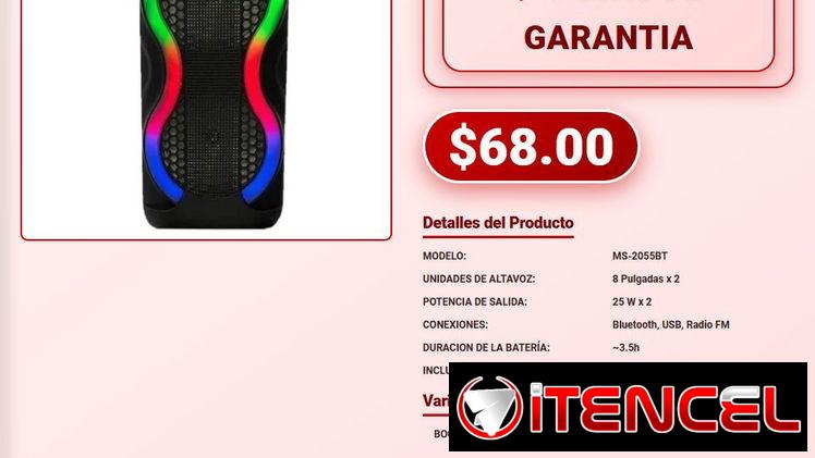 Altavoz Portatil MS-2055BT De 8 Pulgadas Bluetooth Y Radio FM VPT-0164