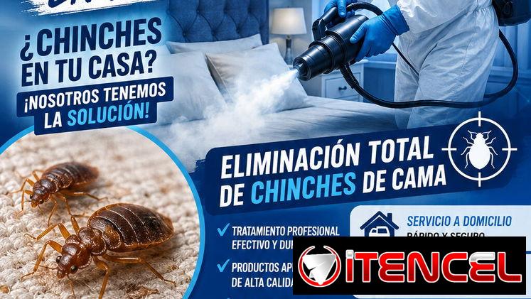 ¡Chinches Servicio de Fumigación especializada en Chinches de cama