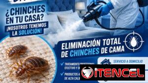 * ¡ FUMIGACIÓN ESPECIALIZA PARA CHINCHES DE CAMA