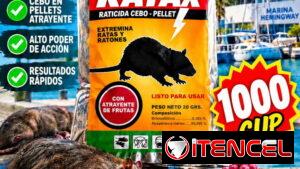 Raticida. Elimina de forma permanente Ratones y Ratas