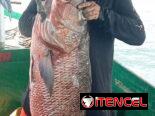 🎣 ¡EXCURSIÓN DE PESCA EN TRINIDAD! 🐟🌊