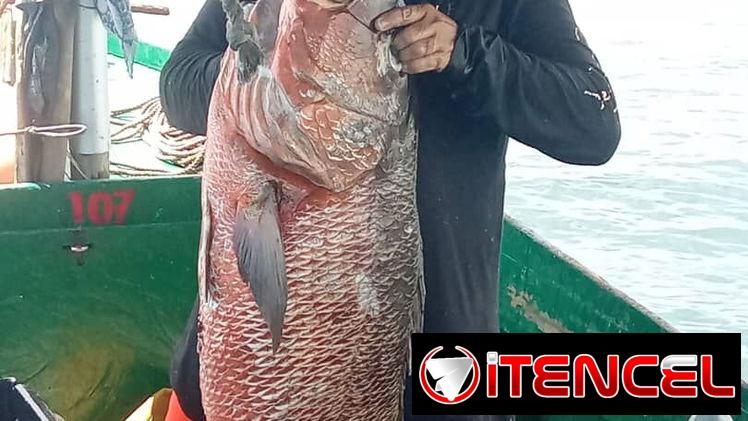 🎣 ¡EXCURSIÓN DE PESCA EN TRINIDAD! 🐟🌊