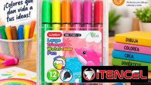 Plumones escolares