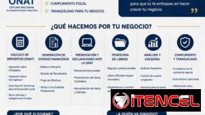 Se oferta servicio de contabilidad/teneduría de libros