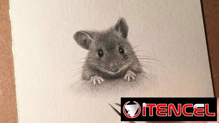 EL REGALO PERFECTO PARA TU MASCOTA (2500 MN EN ADELANTE) — foto 2