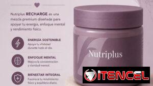 RECHARGE 210g 30porc💥 Energía y enfoque PRE-ENTRENO (Extracto de Guaraná, Cafeína, Vit C y Vit B1, B2, B3, B5, B6, B12)
