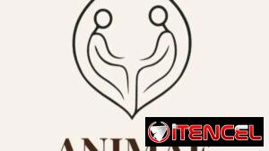 Plan Diario – Bienestar sostenido