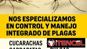Fumigacion