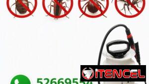 Fumigador.. Control de Plagas. Cuida tu Salud