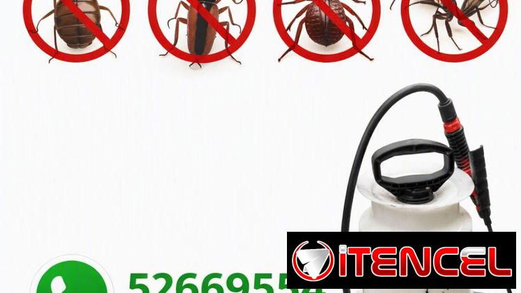 Fumigador.. Control de Plagas. Cuida tu Salud