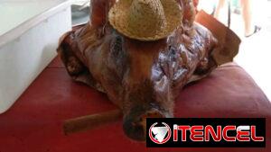 🐖 Cerdo entero de 70 libras para 35 personas con su comida criolla